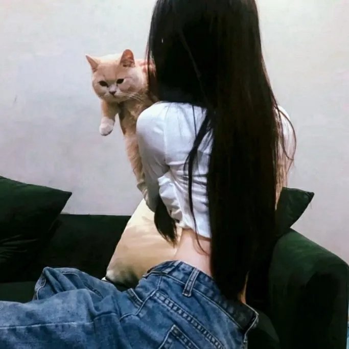 我的老板是小猪